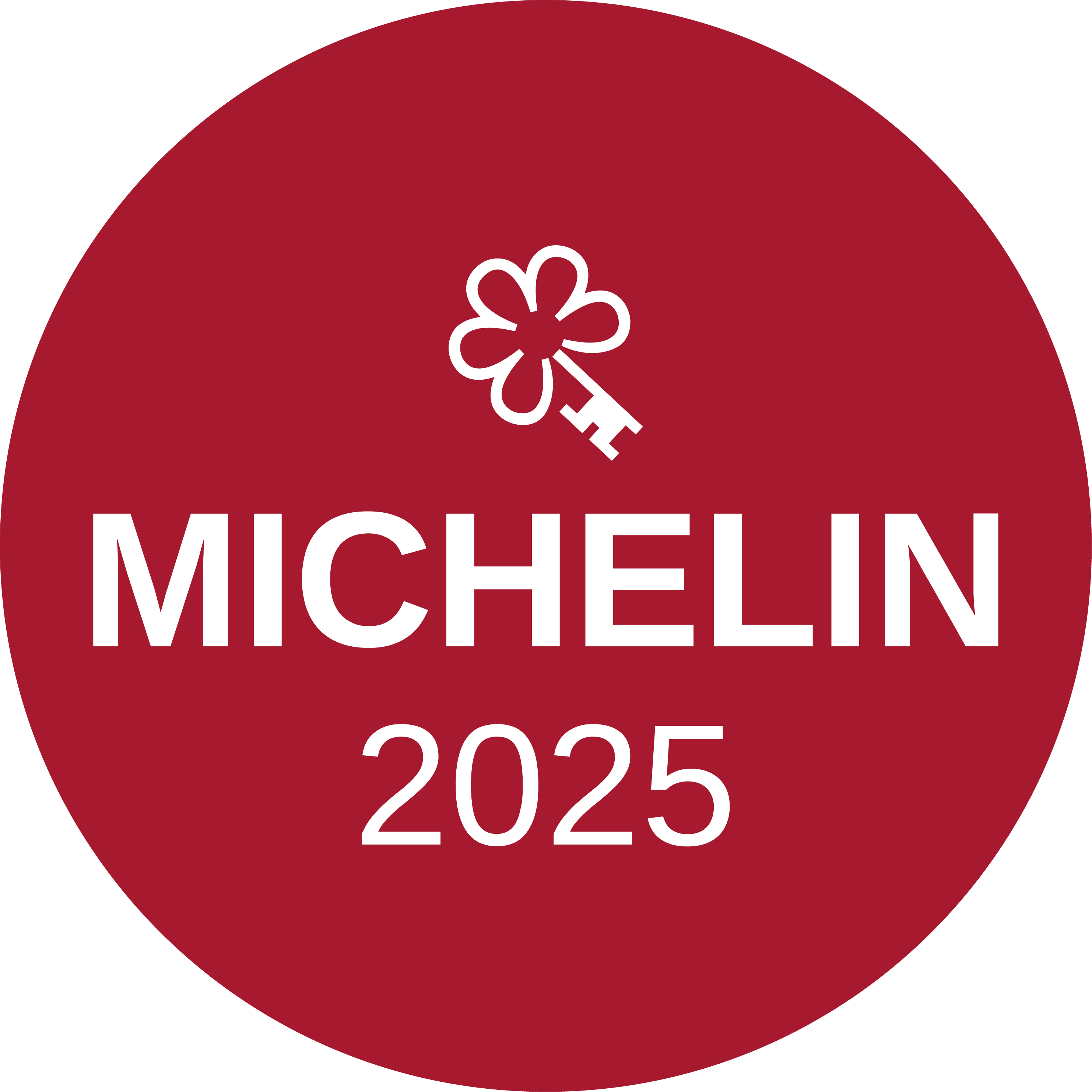 MICHELIN 2025