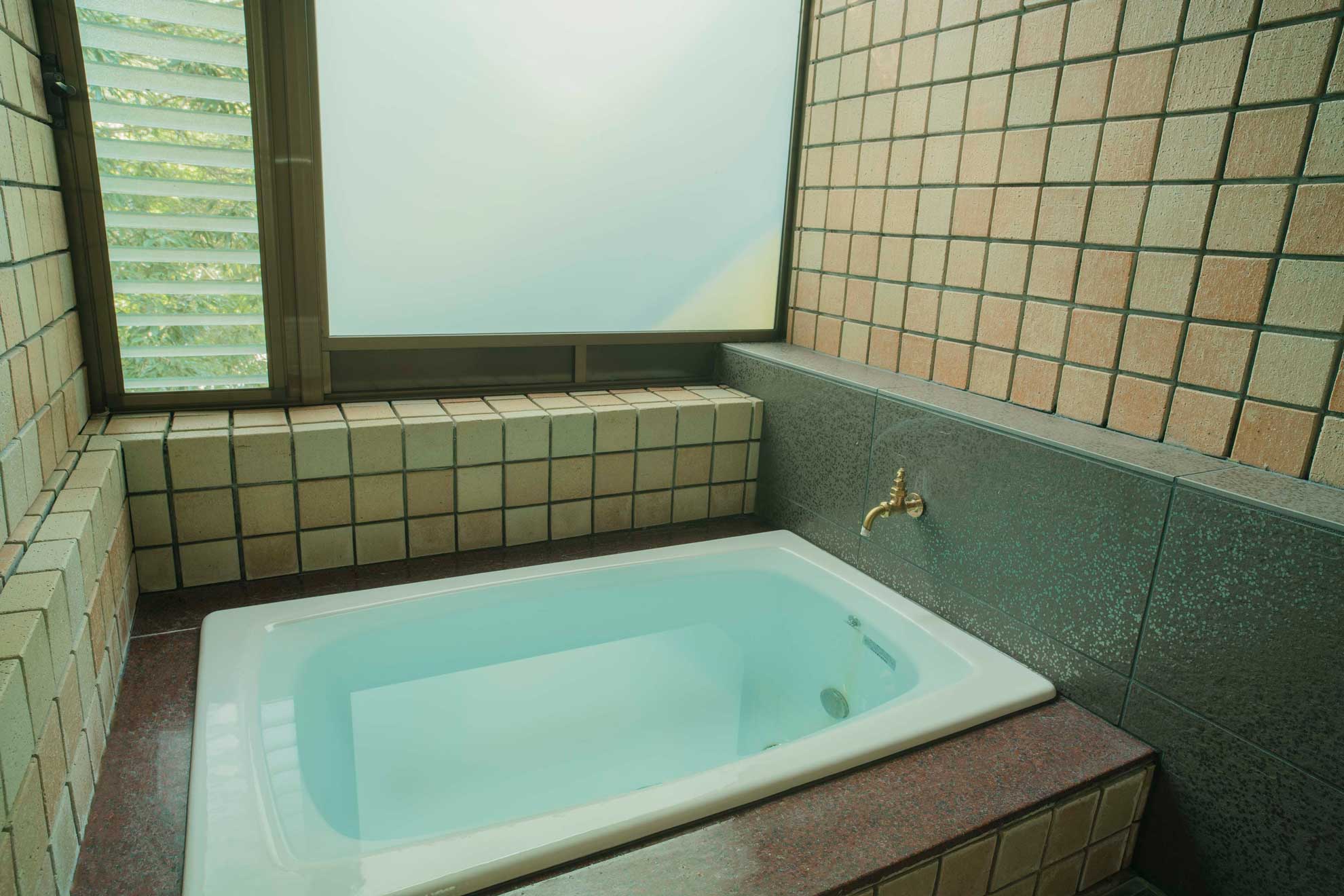 Oaichiro Guest Room・Aoto indoor bath