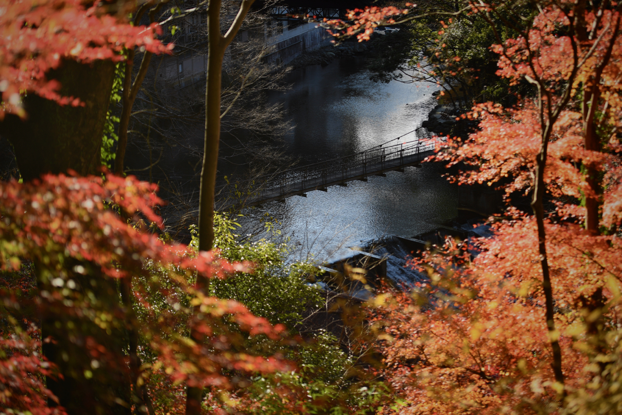 Oaichiro Suspension Bridge