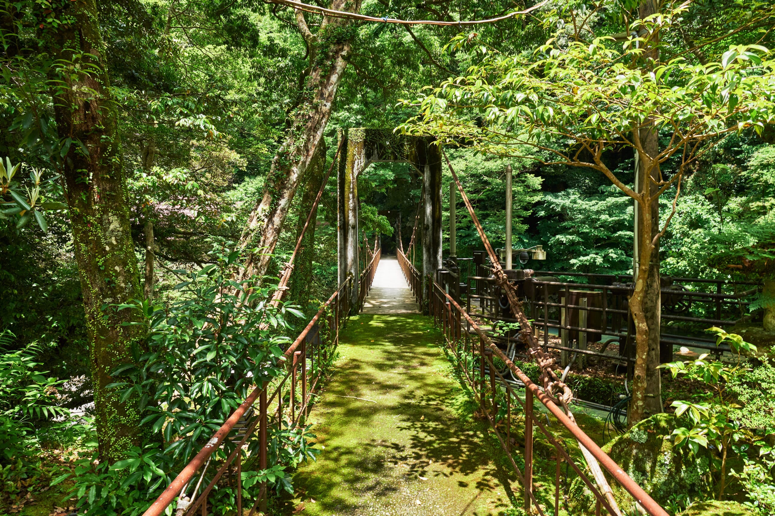 Suspension Bridge